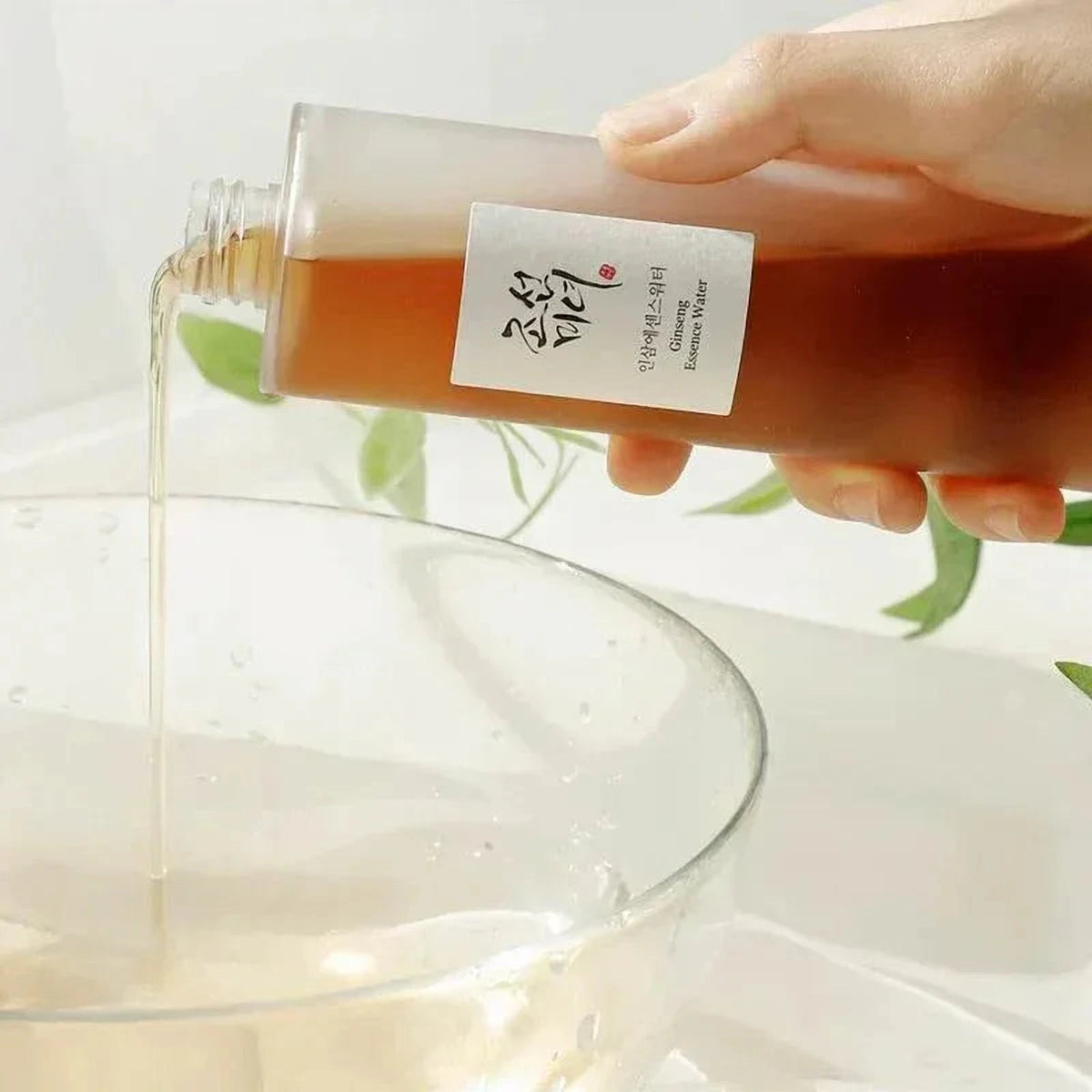 Main versant le toner Beauty of Joseon Ginseng Essence Water dans un bol en verre