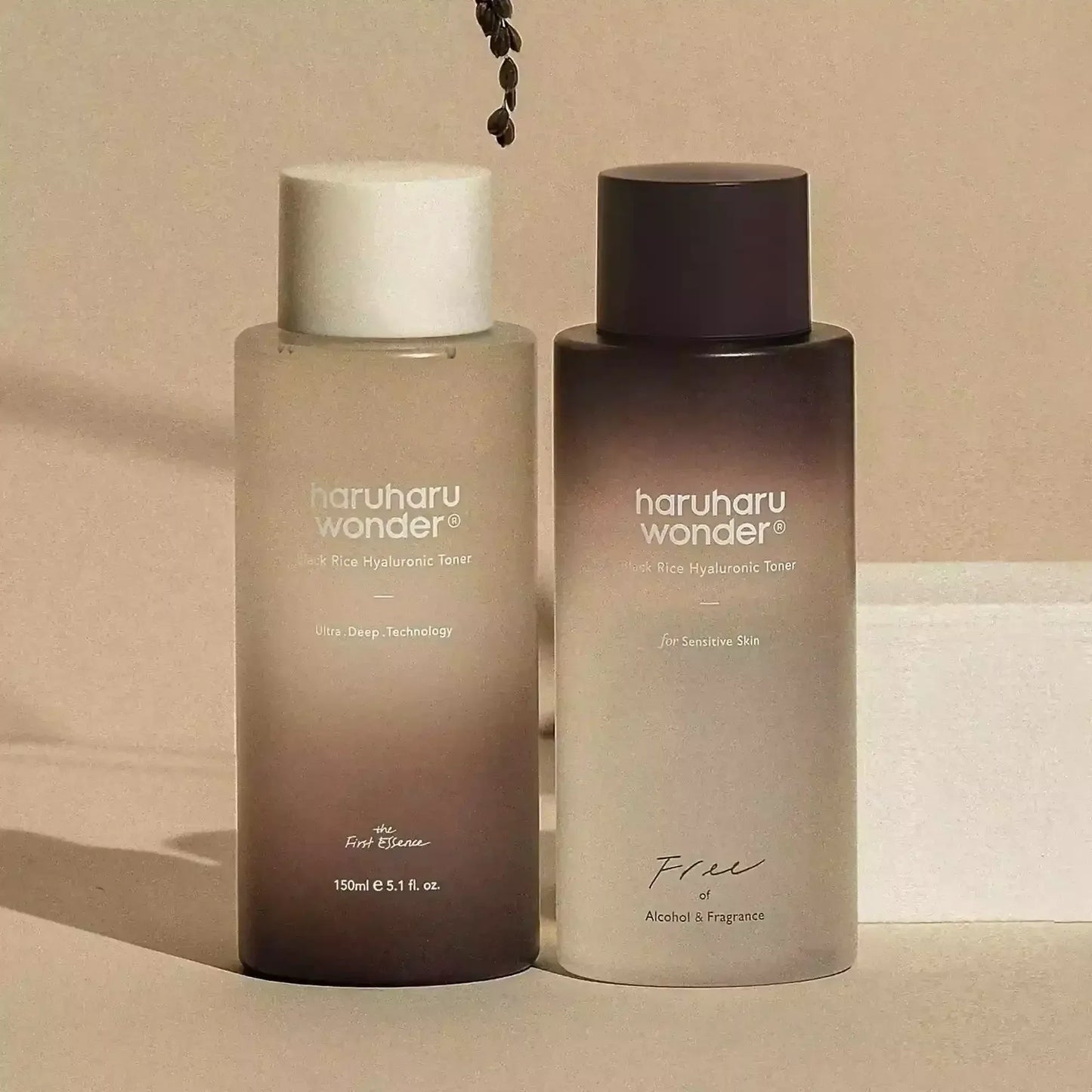 Haruharu-WONDER-Black-Rice-Hyaluronic-Toner-4 - Holy Skin