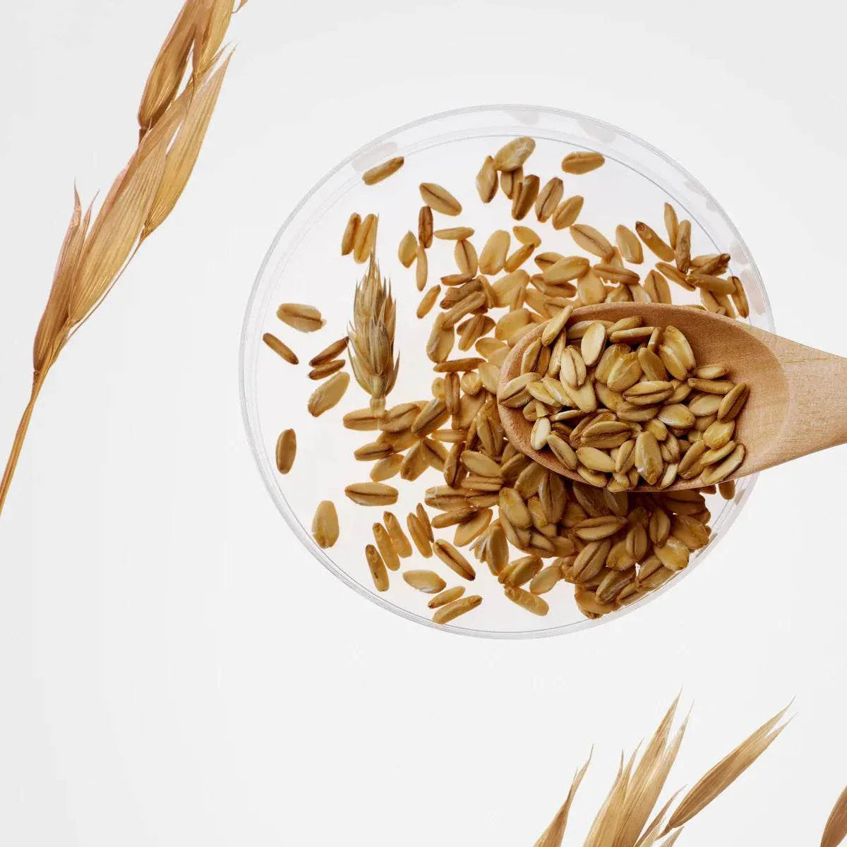 Purito - Oat-In Calming Gel Cream - Holy Skin