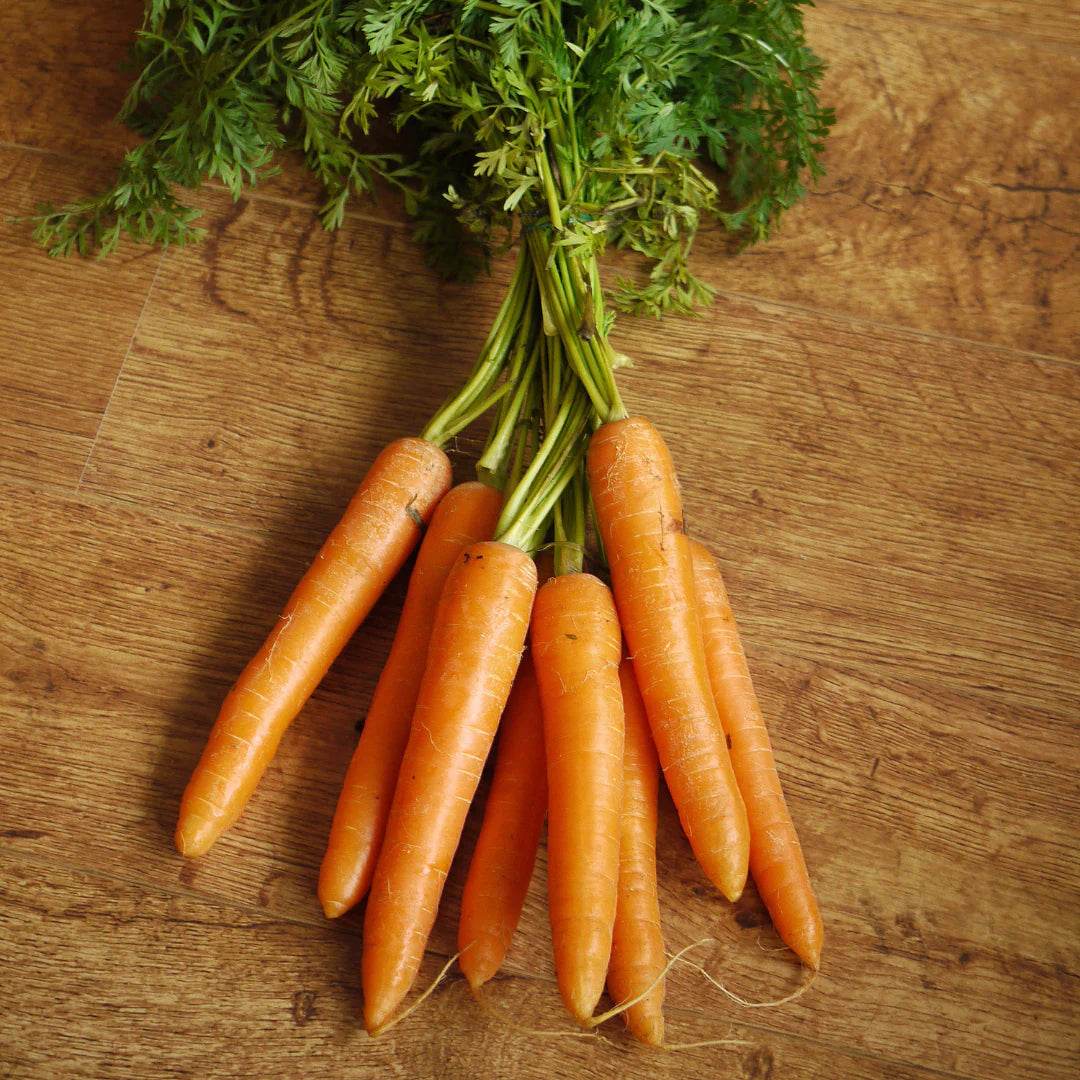 SKINFOOD - Carrot Carotene Mask - Holy Skin