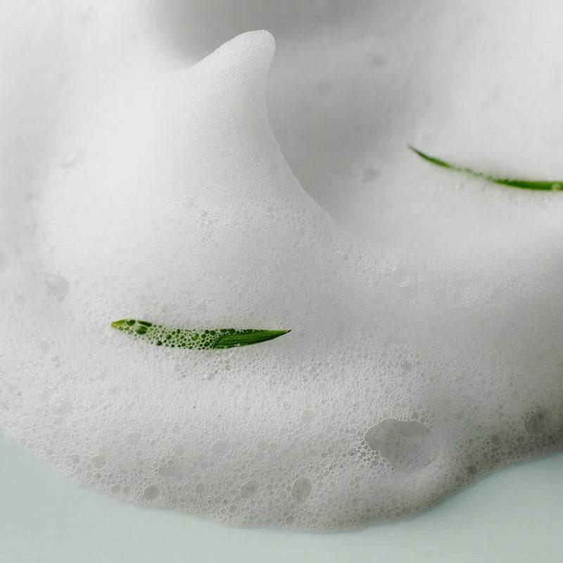 Some By Mi - AHA-BHA-PHA Miracle Acne Clear Foam - Holy Skin