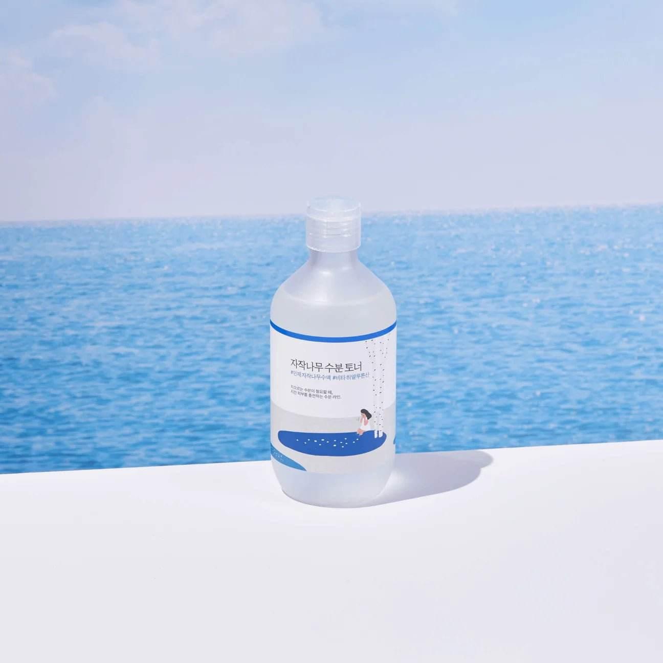 Round Lab - Birch Juice Moisturizing Toner - Holy Skin