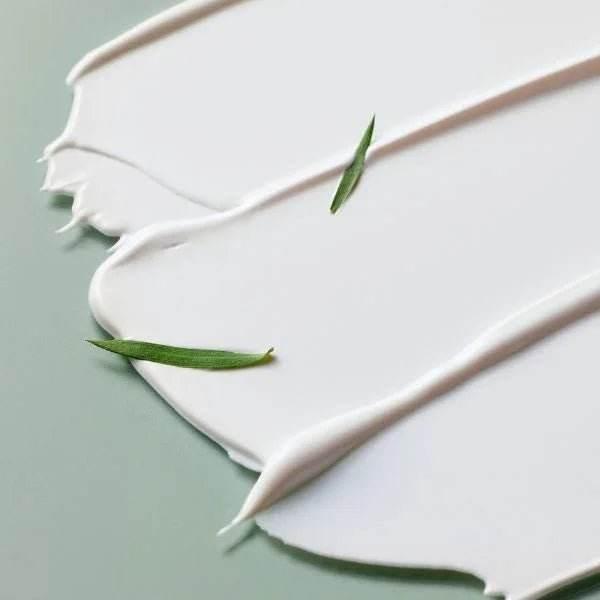 Some By Mi - Truecica Mineral Calming Tone-Up Suncream - Holy Skin