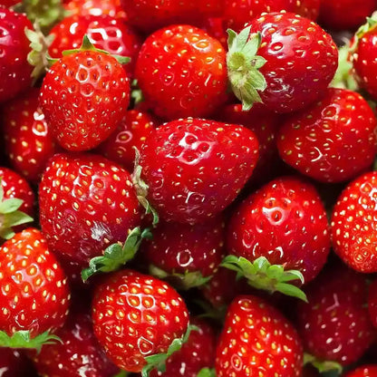 Cadeau – A'PIEU - Milk One Pack : Fraise