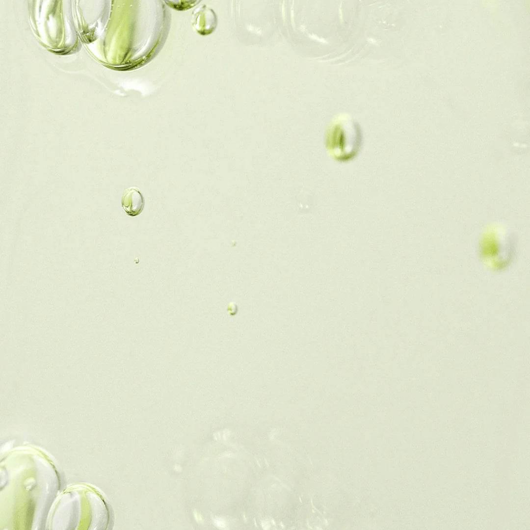 Beauty of Joseon - Calming Serum : Green Tea + Panthenol - Holy Skin