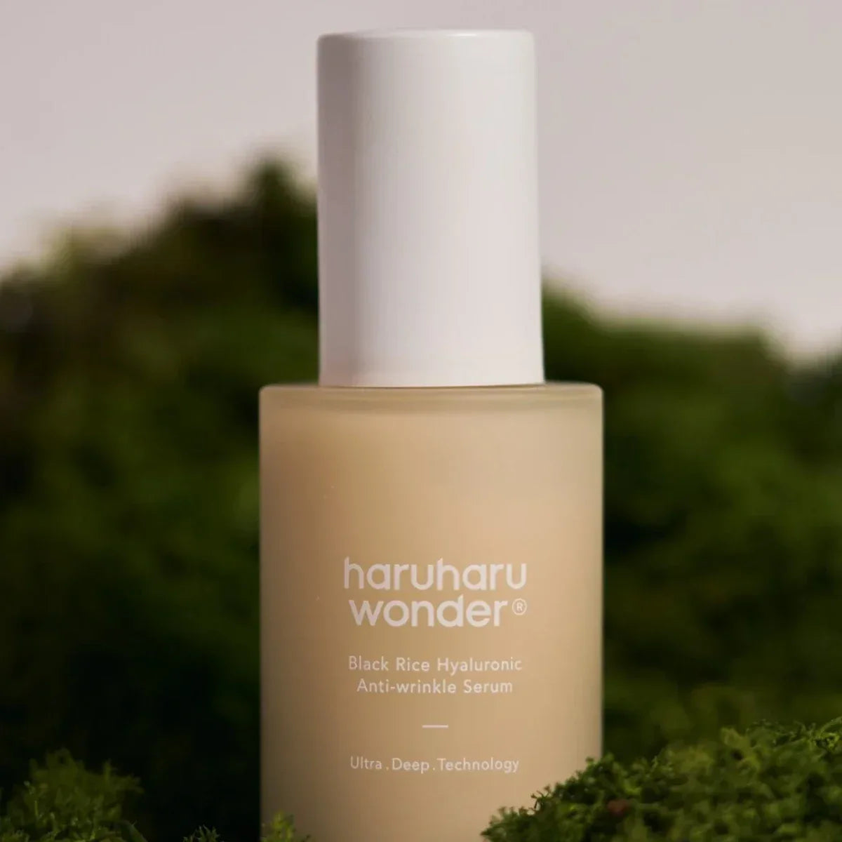 HaruHaru Wonder - Black Rice Hyaluronic Anti-wrinkle Serum - Holy Skin