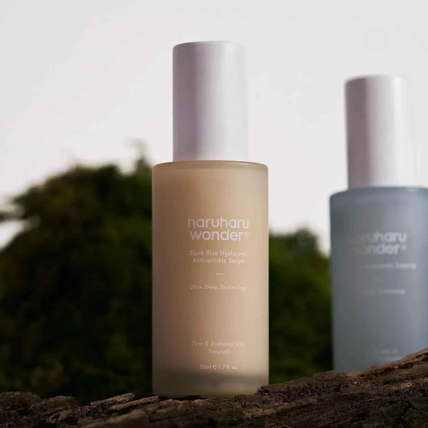 HaruHaru Wonder - Black Rice Hyaluronic Anti-wrinkle Serum - Holy Skin