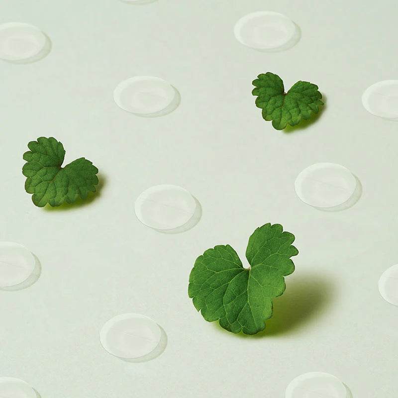 Purito - Wonder Releaf Centella Spot Patch - Holy Skin