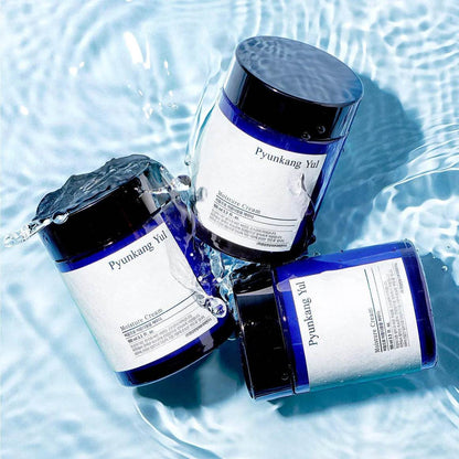 Pyunkang Yul - Moisture Cream - Holy Skin