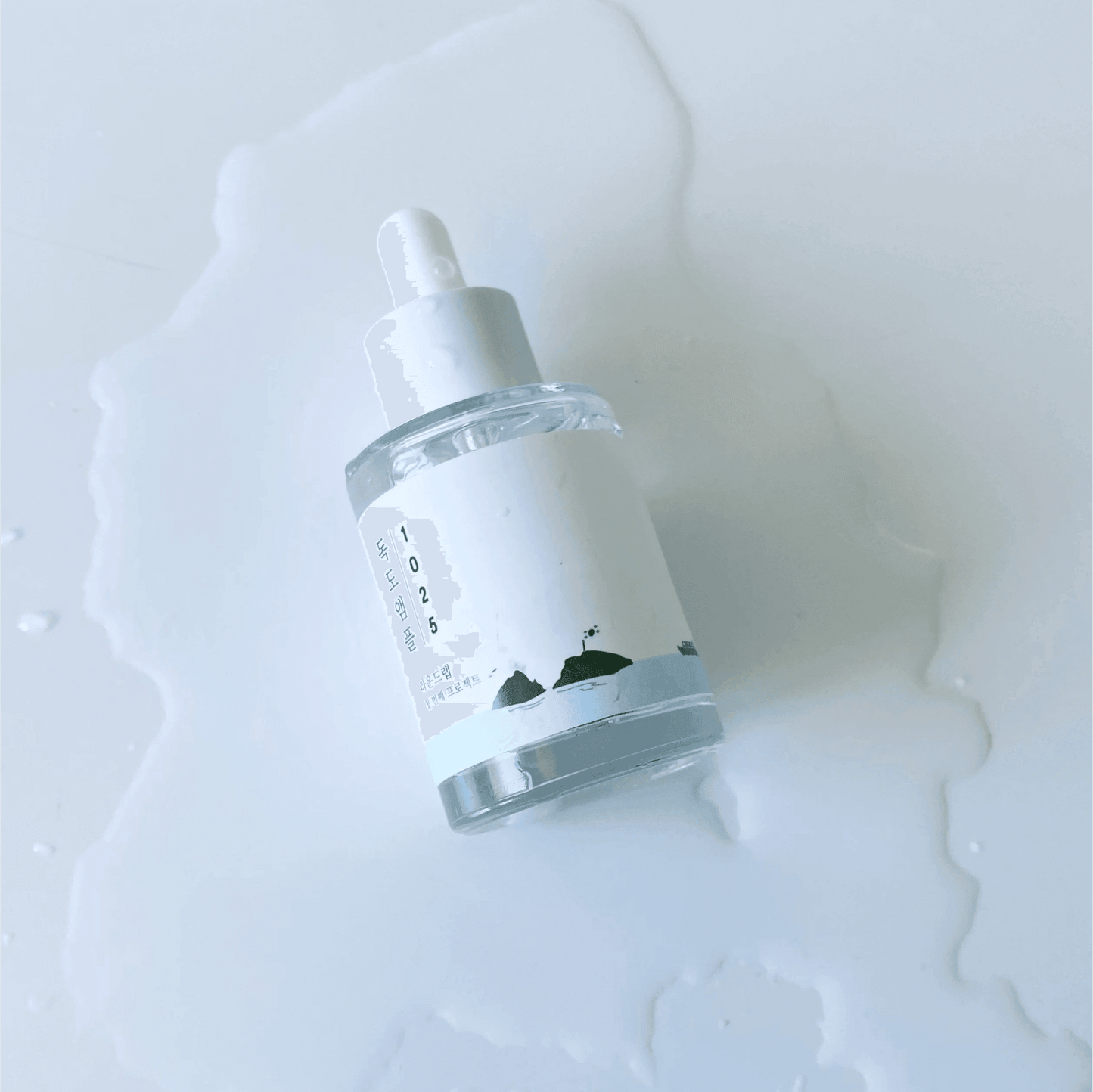Round Lab - 1025 Dokdo Ampoule - Holy Skin