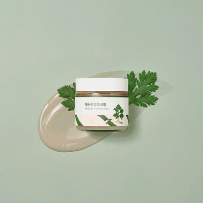 Round Lab - Mugwort Calming Cream - Holy Skin