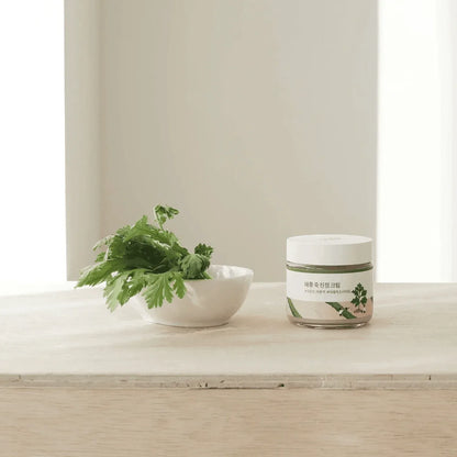 Round Lab - Mugwort Calming Cream - Holy Skin