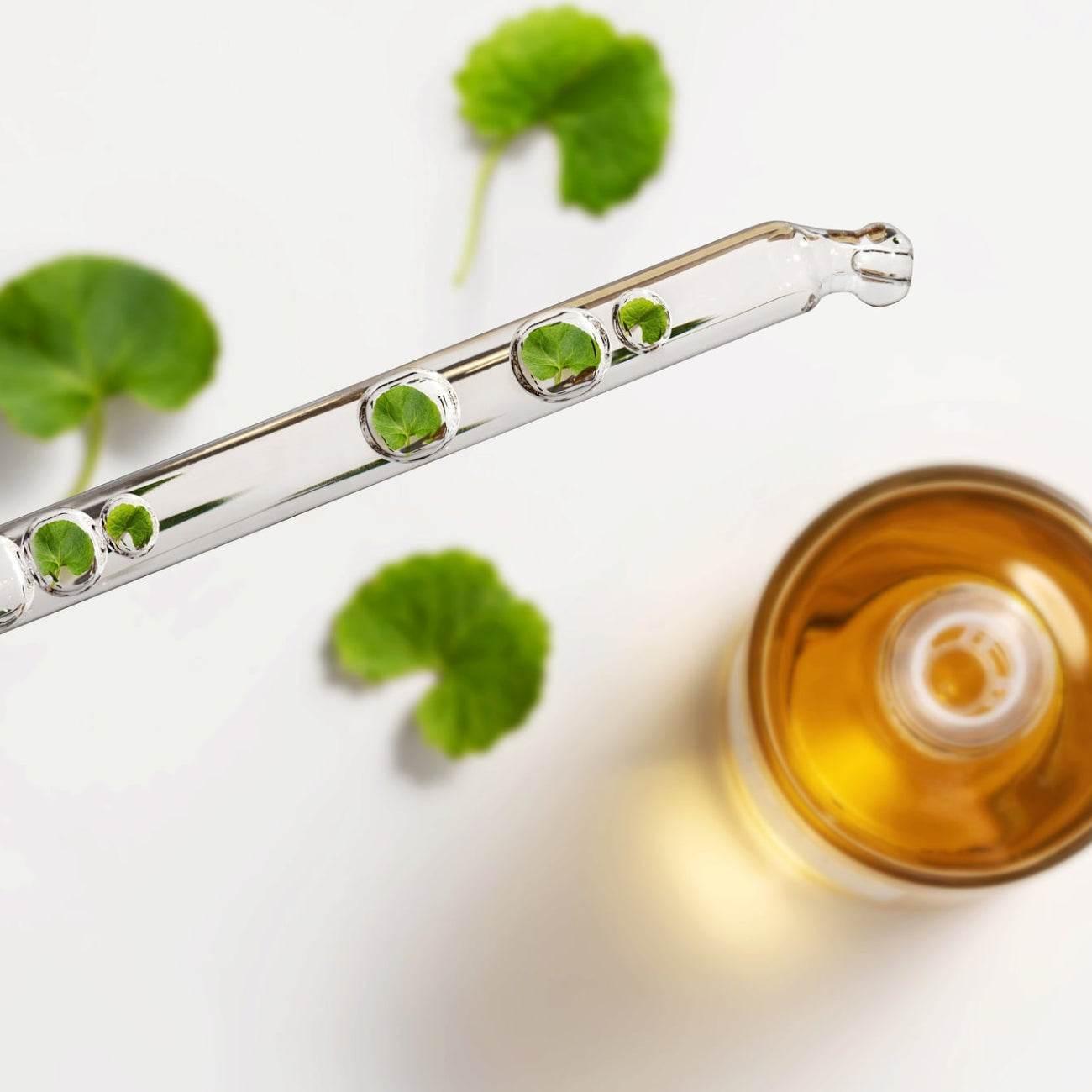 SKIN1004 - Madagascar Centella Asiatica 100 Ampoule - Holy Skin