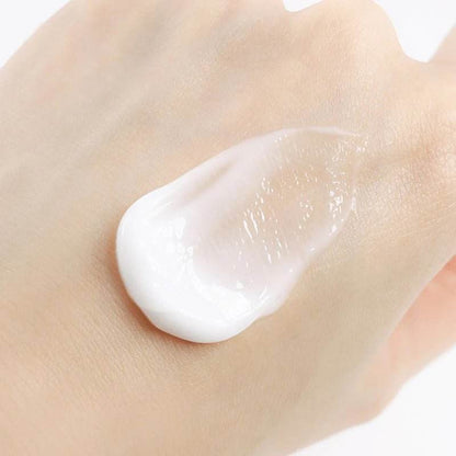 Round Lab - 1025 Dokdo Eye Cream - Holy Skin