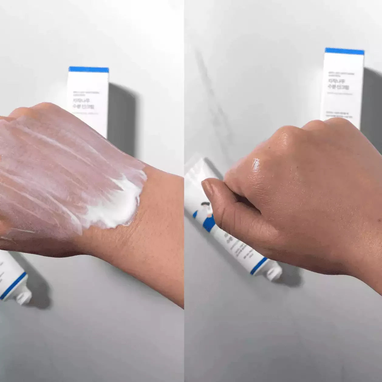 Round Lab - Birch Juice Moisturizing Sunscreen SPF50+ - Holy Skin