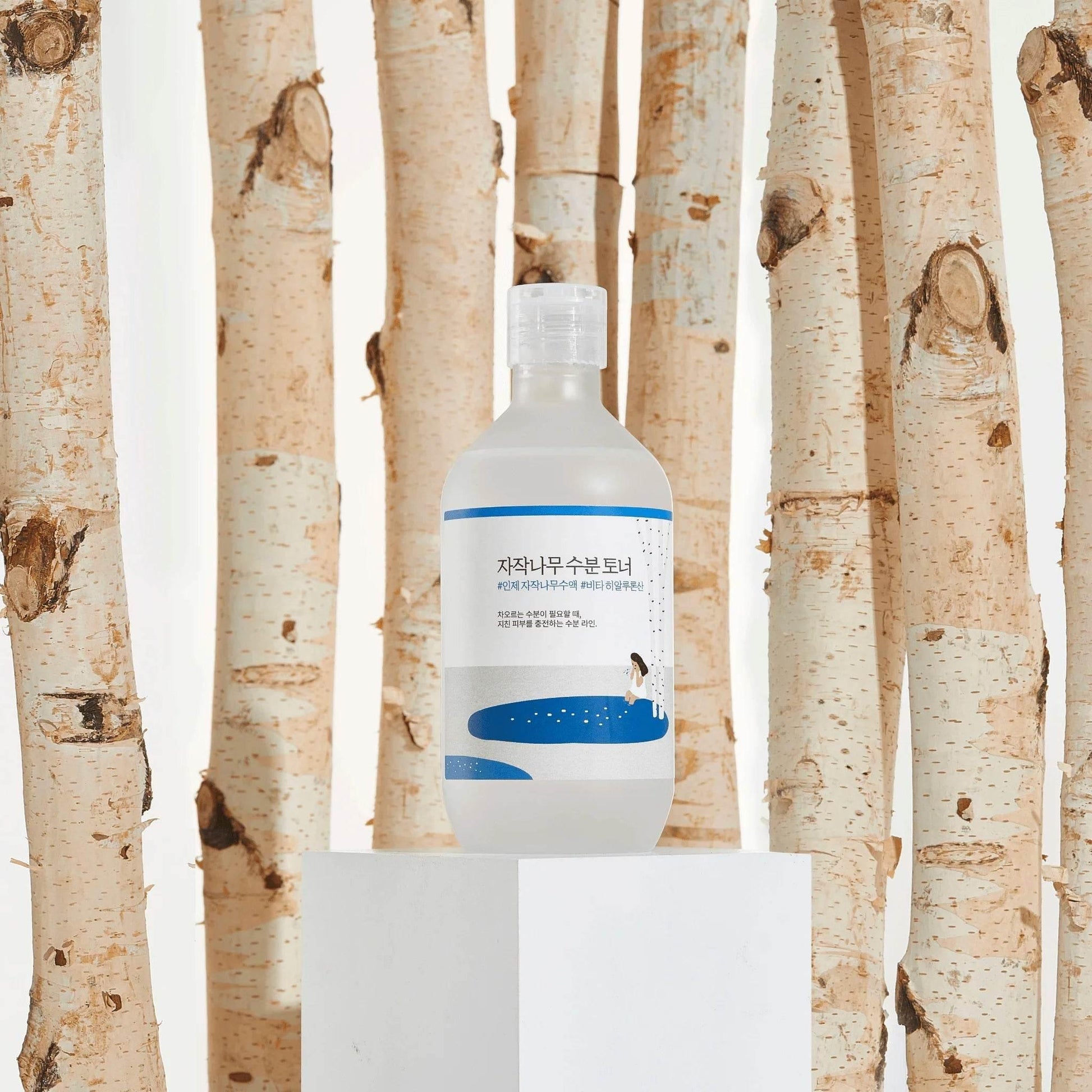 Round Lab - Birch Juice Moisturizing Toner - Holy Skin