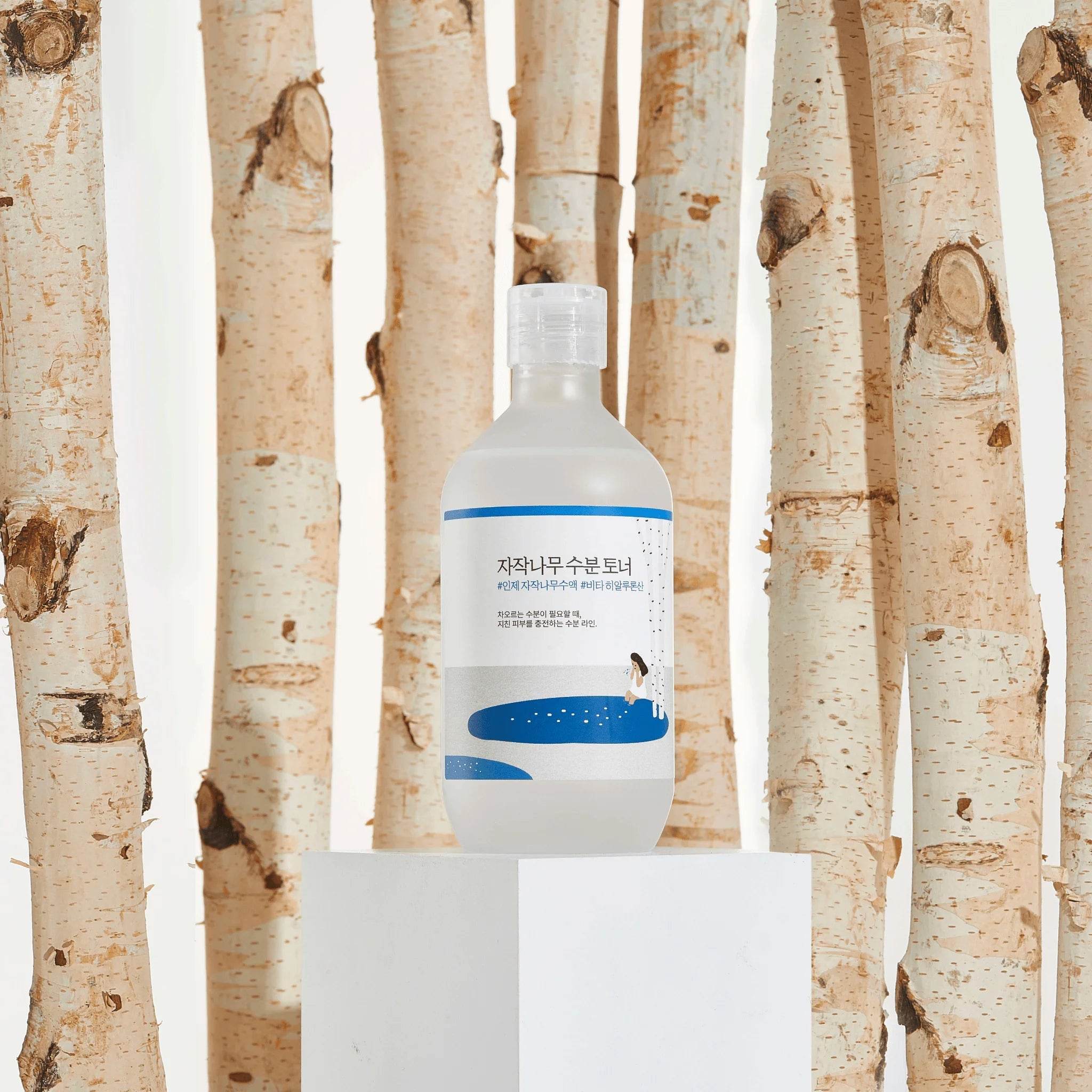 Round Lab - Birch Juice Moisturizing Toner - Holy Skin