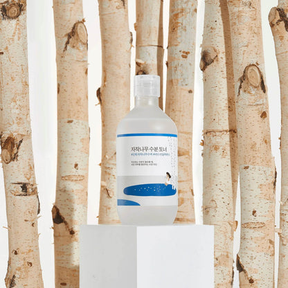 Round Lab - Birch Juice Moisturizing Toner - Holy Skin