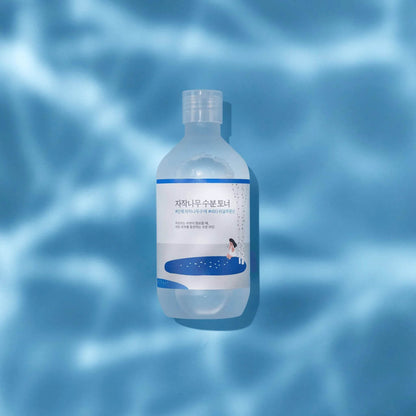 Round Lab - Birch Juice Moisturizing Toner - Holy Skin