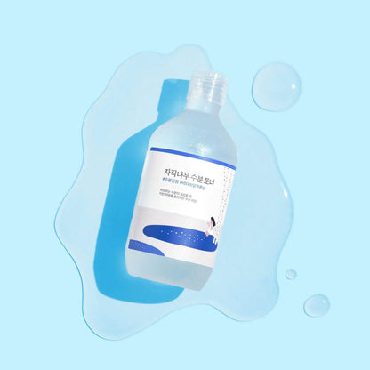 Round Lab - Birch Juice Moisturizing Toner - Holy Skin